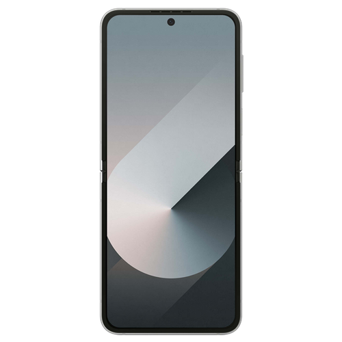 Samsung_Galaxy_Z_Flip_6_5G_silver_front.png